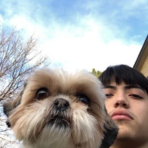 Meet your Posher, Antonio